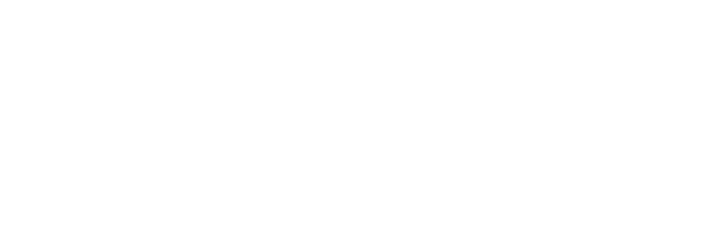 FAMESEG